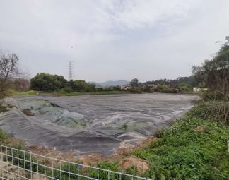 龙峰园养殖