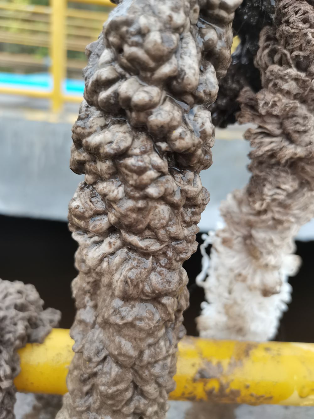 生物填料-养殖污水处理环保设备